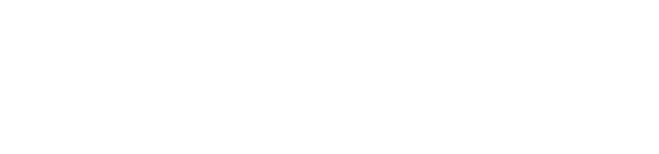 PriceHunt.ai